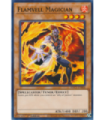 Flamvell Magician