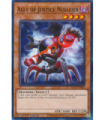 Ally of Justice Nullfier