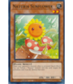 Naturia Sunflower