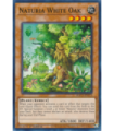 Naturia White Oak