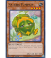 Naturia Pumpkin