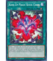 Rank-Up-Magic Quick Chaos