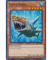 Cyber Shark