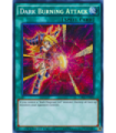 Dark Burning Attack