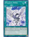 Pegasus Wing