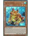 Swap Frog