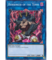 Berserker of the Tenyi