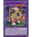 Amazoness Pet Liger