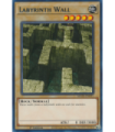 Labyrinth Wall