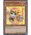 Wind-Up Kitten