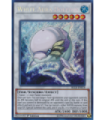 White Aura Dolphin