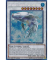 White Aura Whale