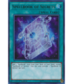 Spellbook of Secrets