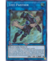 Test Panther