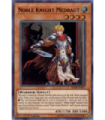 Noble Knight Medraut