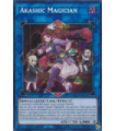 Akashic Magician