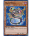 Hack Worm