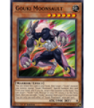 Gouki Moonsault