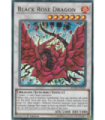 Black Rose Dragon