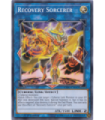 Recovery Sorcerer