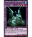 Mudragon of the Swamp - Rare