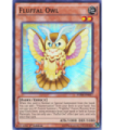 Fluffal Owl