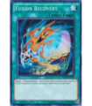 Fusion Recovery