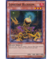 Lonefire Blossom