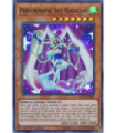 Performapal Sky Magician