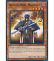 Skilled Dark Magician