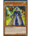 Legendary Knight Critias