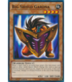 Big Shield Gardna