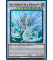 Ascension Sky Dragon