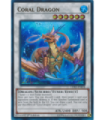 Coral Dragon