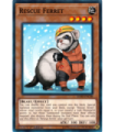 Rescue Ferret