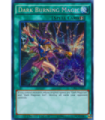 Dark Burning Magic