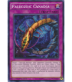 Paleozoic Canadia