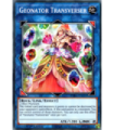 Geonator Transverser