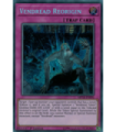 Vendread Reorigin