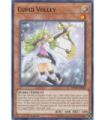 Cupid Volley