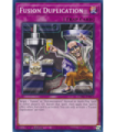 Fusion Duplication