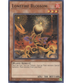 Lonefire Blossom