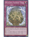 Naturia Sacred Tree