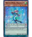 White Wing Magician