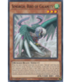 Simorgh, Bird of Calamity