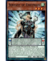 Servant of Endymion