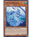 Lappis Dragon