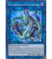 Guardragon Agarpain