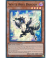 White Rose Dragon