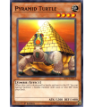 Pyramid Turtle